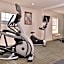 Holiday Inn Express Hotel & Suites North Kansas City By IHG