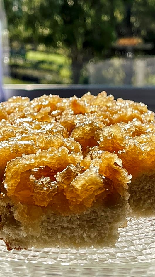 Pousada do Bosque Bento