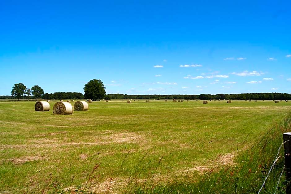 Landhotel & Restaurant Zum Krug im grünen Kranze