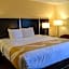 Comfort Inn Dunmore - Scranton East