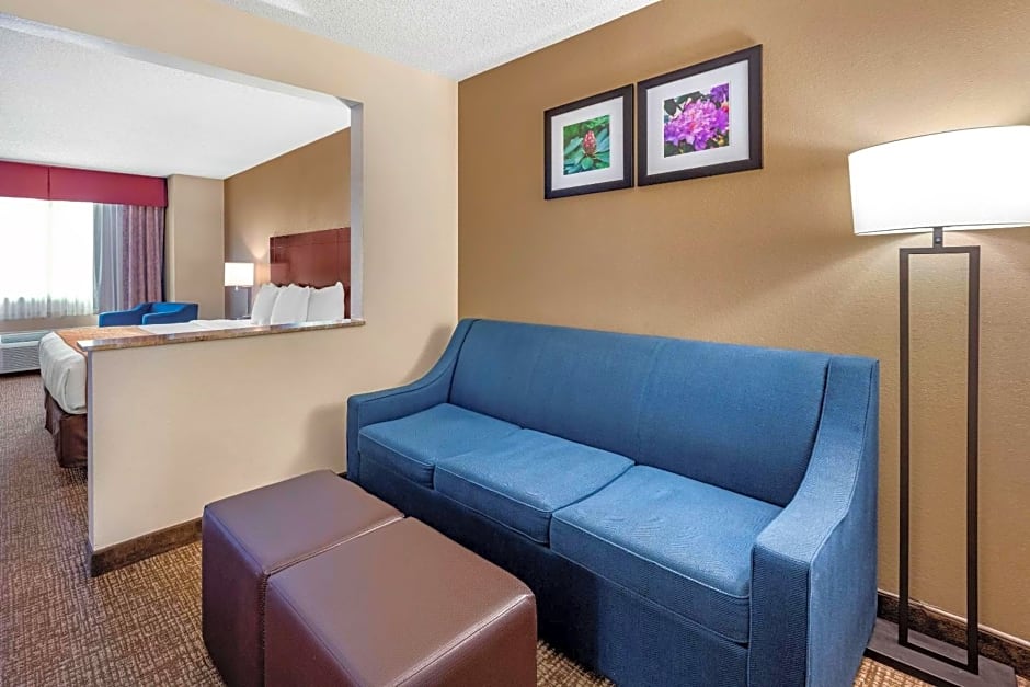 Comfort Inn & Suites Kelso - Longview