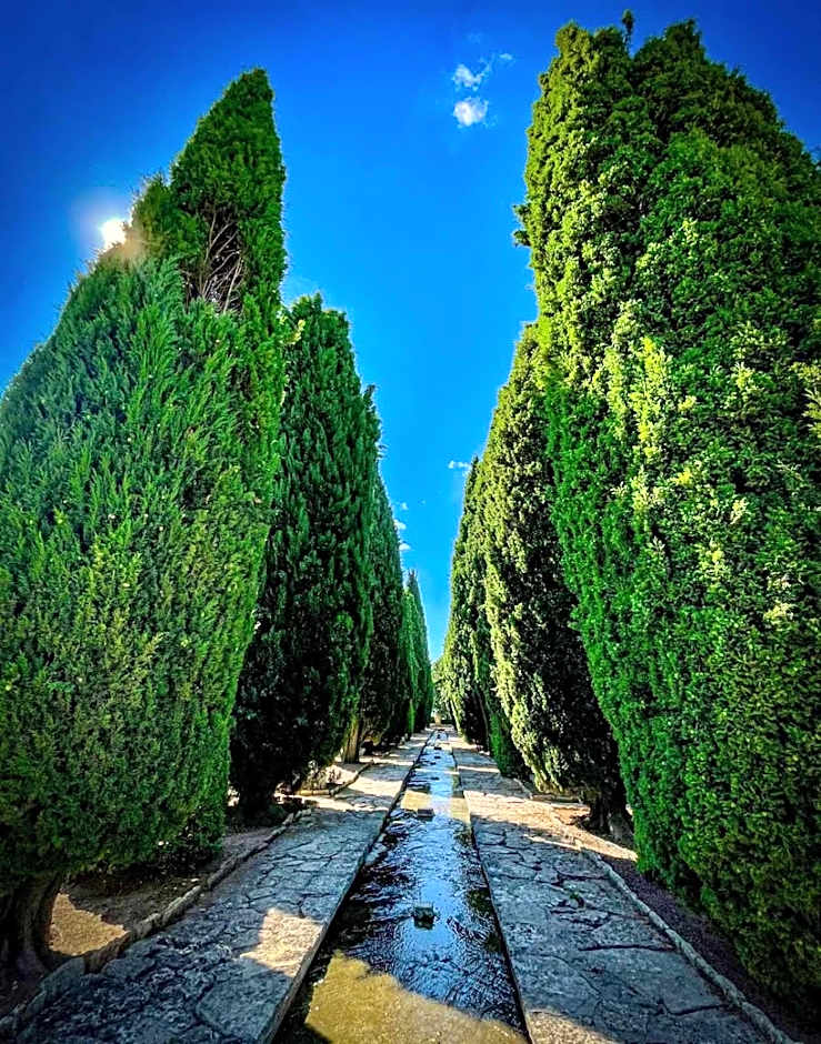 Family Hotel Morska Zvezda