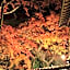 Akizuki Spa Ryokan Seiryuan