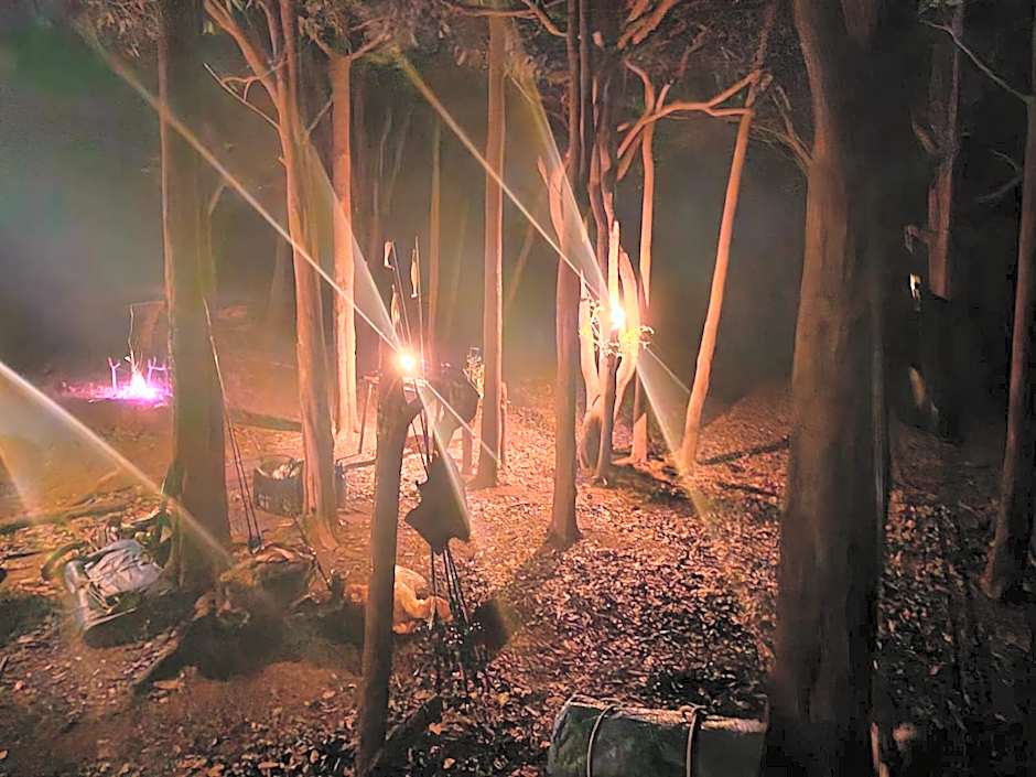 Seringal jungle Lodge