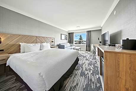 Standard Room, 1 King Bed, Sofa Bed