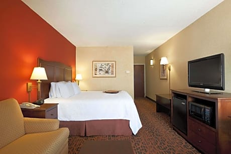 1 King 1 Bedroom Suite Nonsmoking