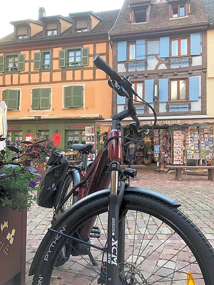 Hotel Arc-En-Ciel Colmar Contact Hotel