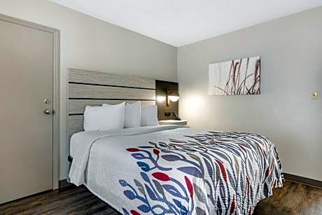 Duluxe King Room Disability Access Roll-In Shower Non-Smoking