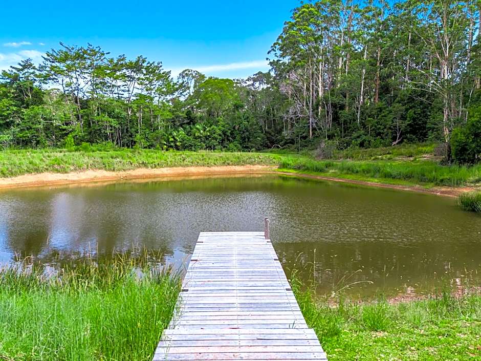 Nightcap Ridge - Byron Bay Hinterland