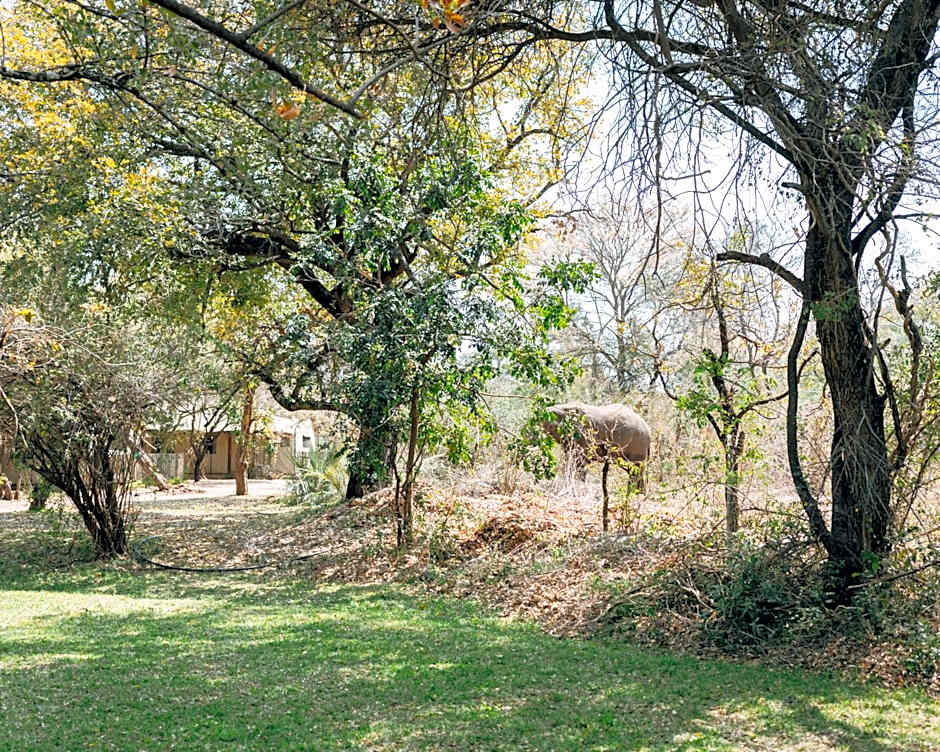 Maramba River Lodge