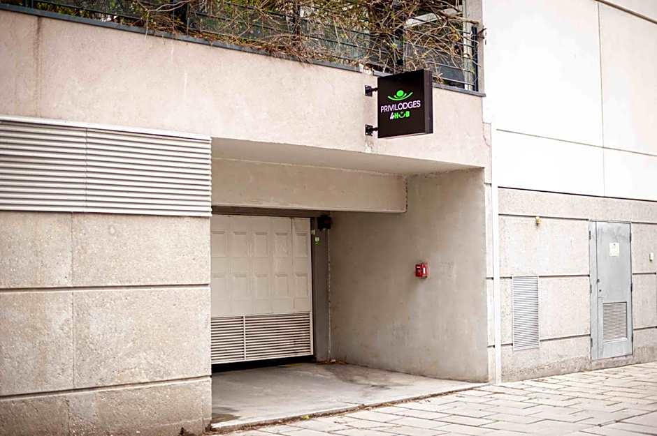 Apparthotel Le Hüb Grenoble
