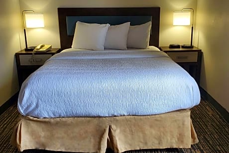 1 Queen Bed Mobility Accessible Suite