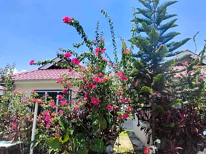 Langkawi Homestay Bunga Padi