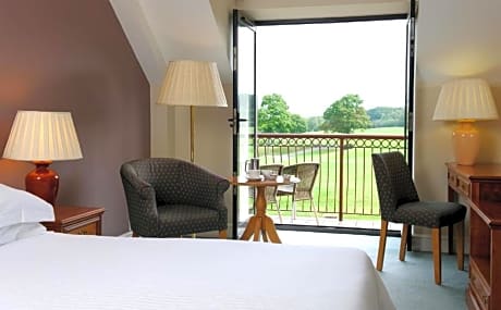 Deluxe Double Room (1 Double Bed)