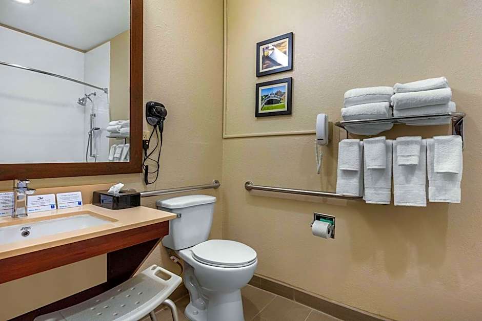 Comfort Inn & Suites Montgomery East Carmichael Rd