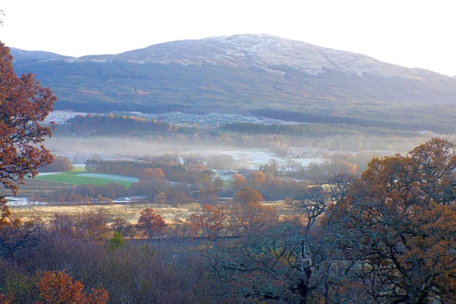 Cosy Rowan woodland lodge no3