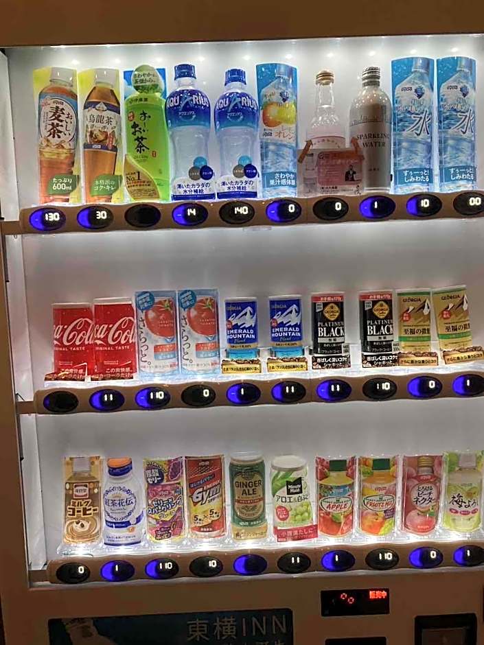 Toyoko Inn Yashio Ekimae