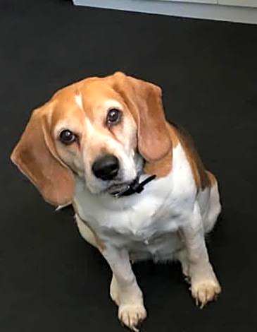 Hotel Villa Fröhlich