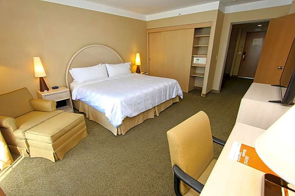 Holiday Inn Leon-Convention Center By IHG