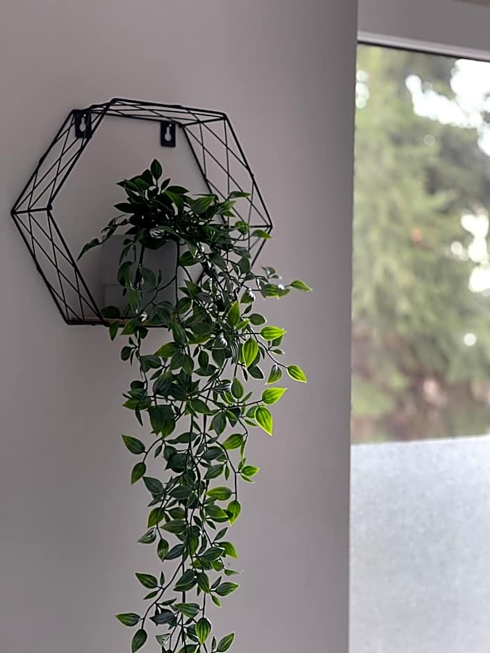 Szumi Las Bed & Breakfast