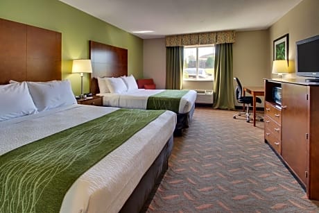 Two Standard King Suite