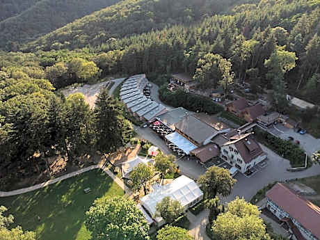 Domaine du Hirtz, Restaurant & Spa