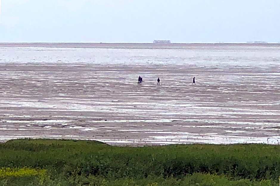 Het Huis van de Wadden