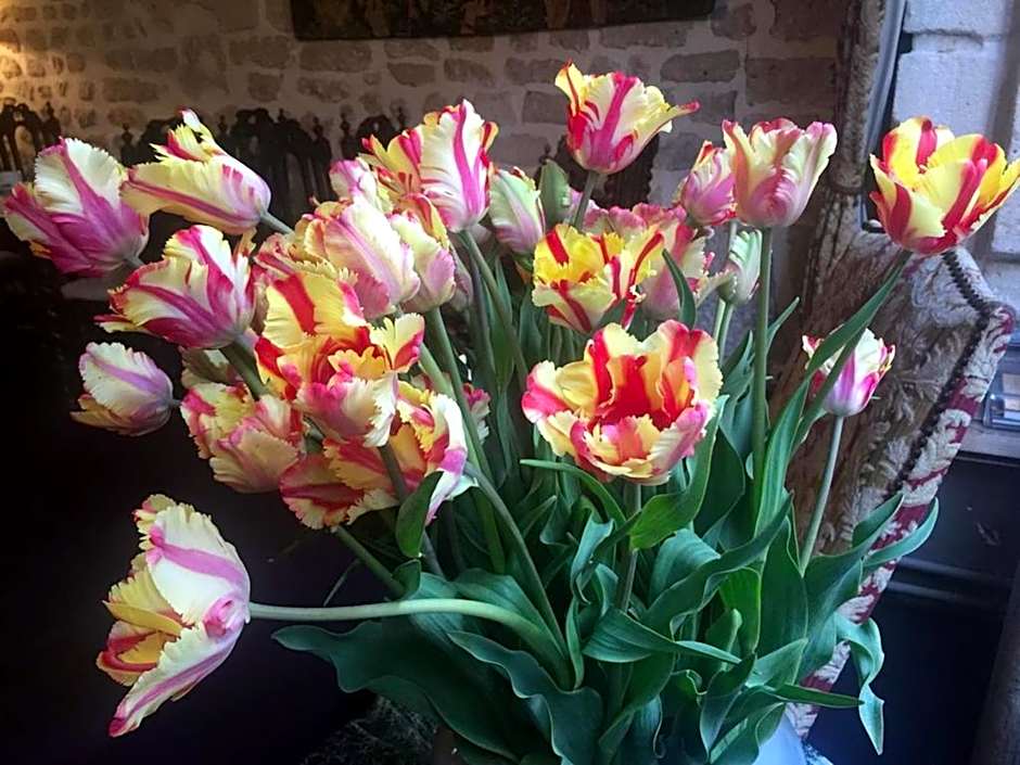 Boutique Hotel de la Place des Vosges