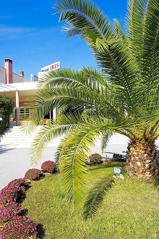 Iris Hotel