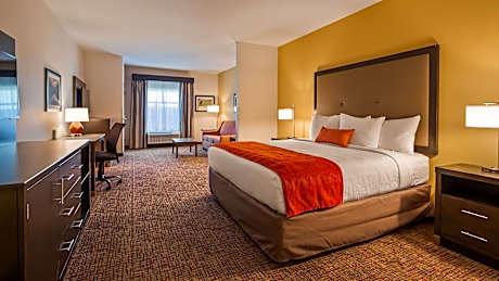 Suite King Bed Mob Accessible Walkin Shower Sofabed For One Person Fridge Non-Smoking Full Breakfast