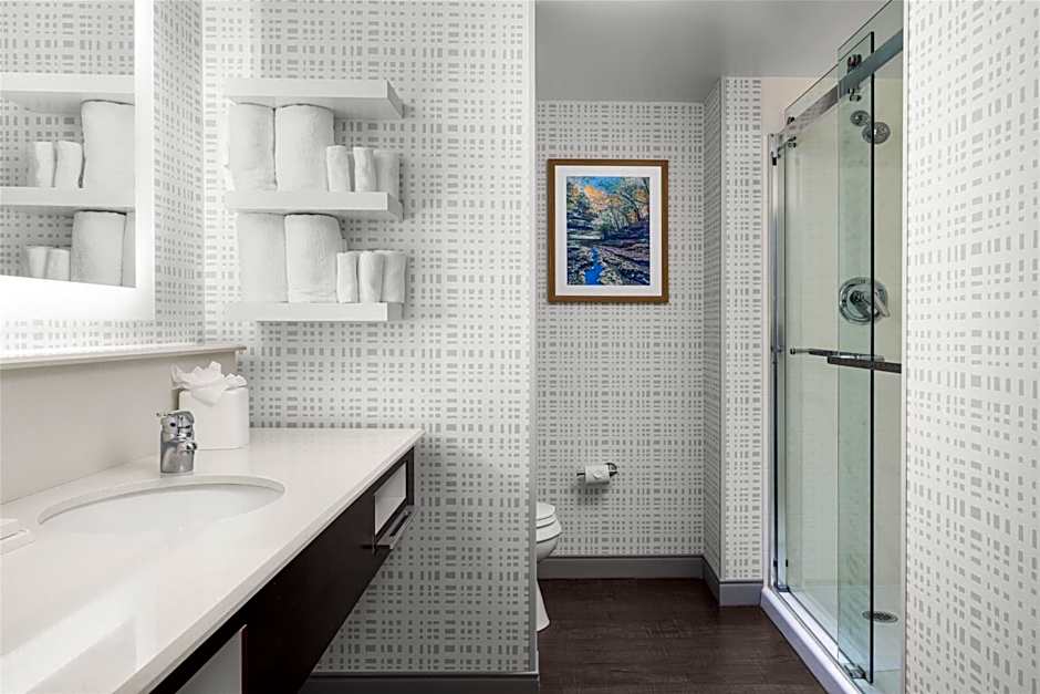 Hampton Inn By Hilton Lexington Medical Center/UK, KY