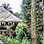 Alassari Plantation