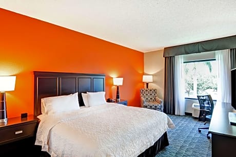 1 King Bed Nonsmoking