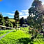 Kauri Villas
