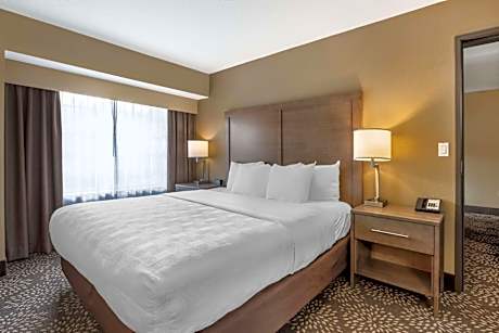 King Suite with Sofa Bed and Full Kitchen - Non-Smoking