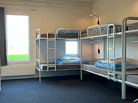 Bed in 8-Bed Dormitory Room