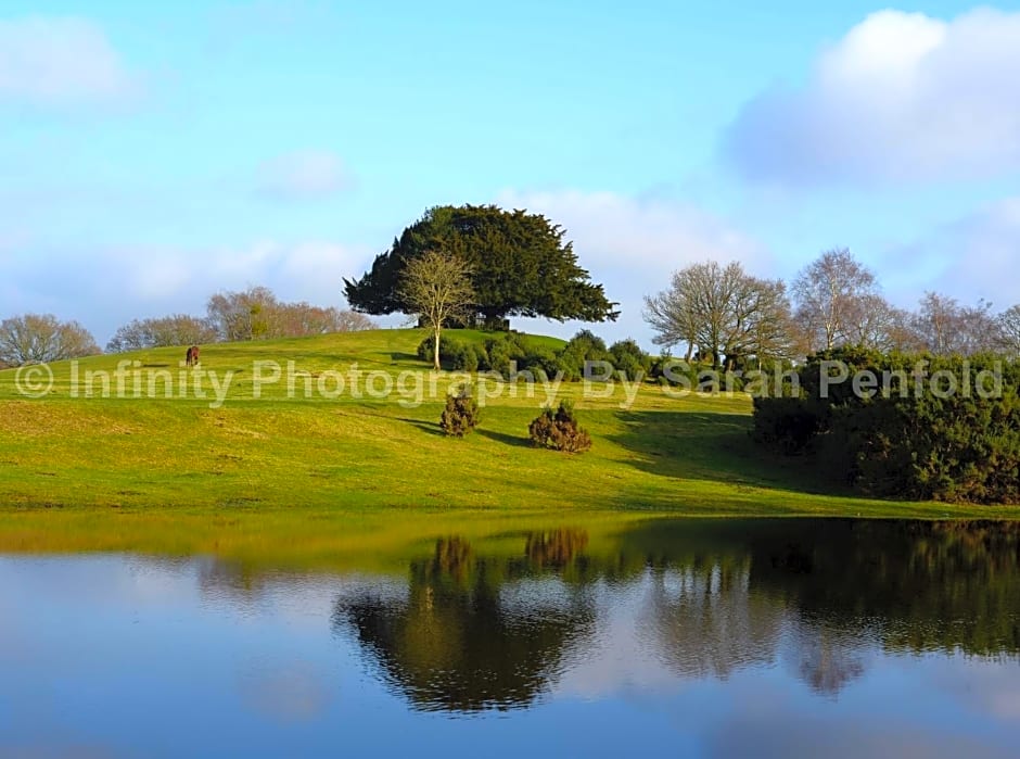 Rosedale Bed and Breakfast