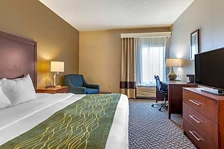 1 King Bed, Nonsmoking, Accessible