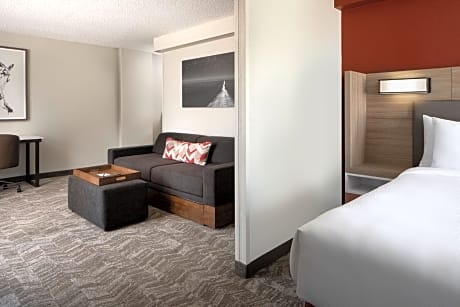 King Suite with Sofa Bed