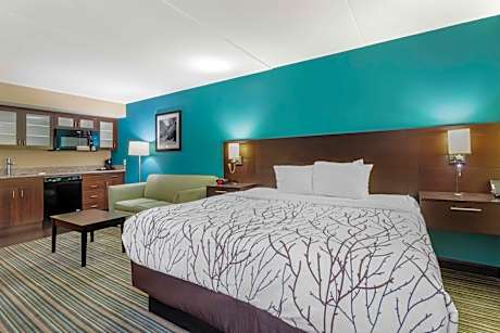 King Suite - Non-Smoking