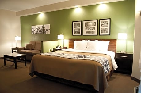 1 King Bed, Suite,No-smoking