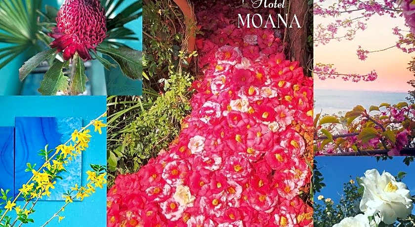 Hotel MOANA絶景オーシャンビューカフェラウンジ朝食付き