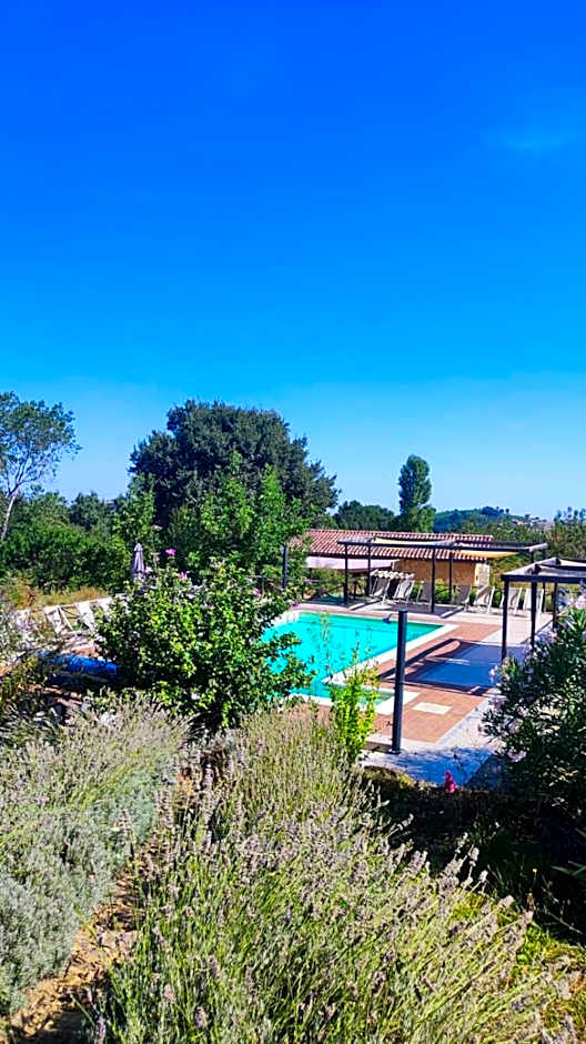 Camping Le Marche Apartments