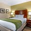 Comfort Inn Downtown Lookout Mountain Chattanooga