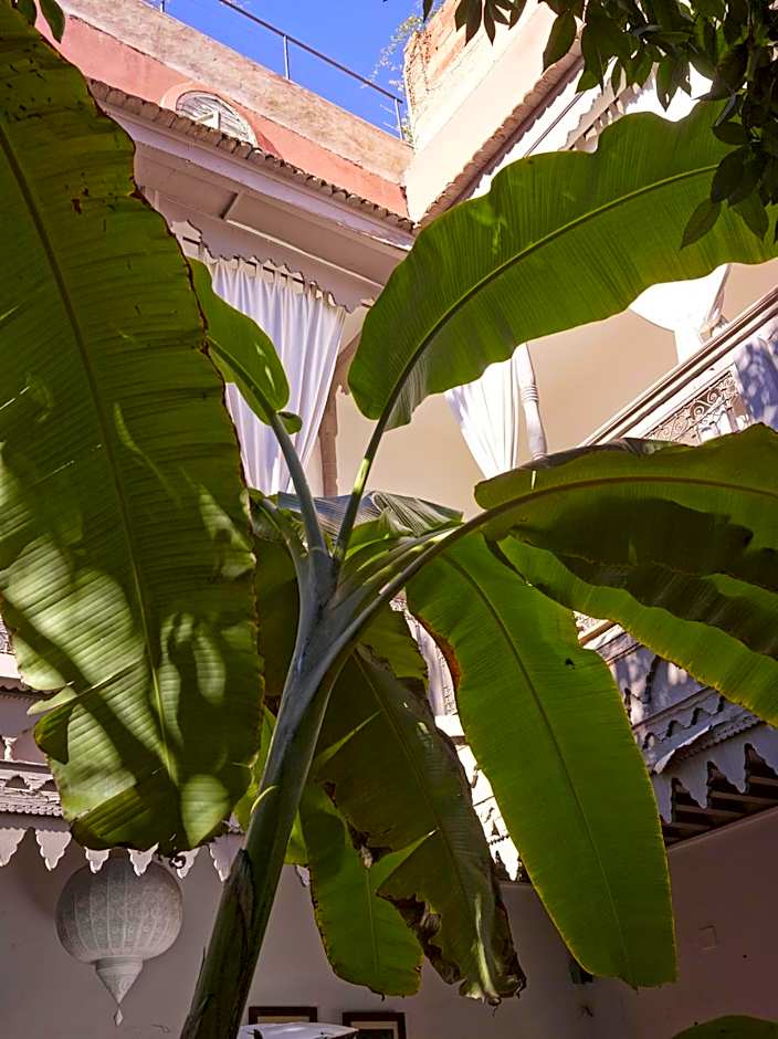 Riad Les Jardins d'Henia