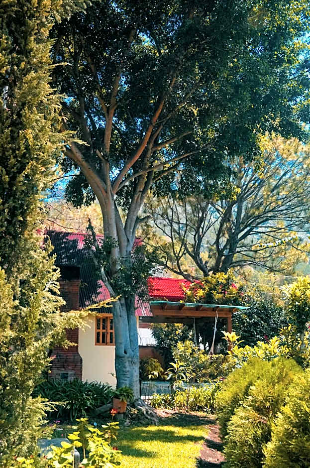 Hotel Rancho Constanza