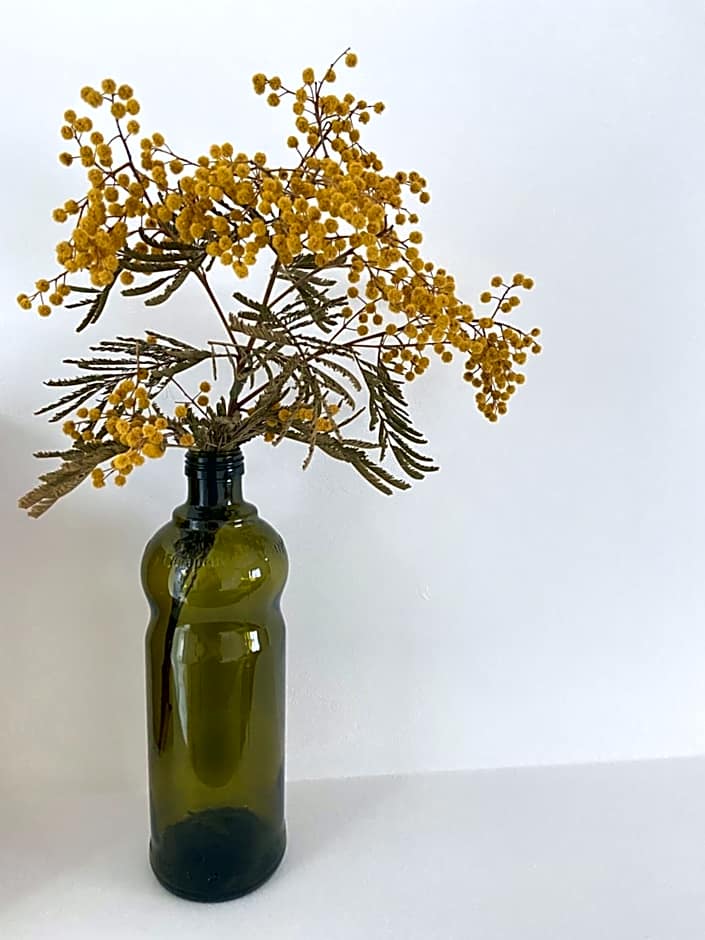 Les jardins de Mimizan