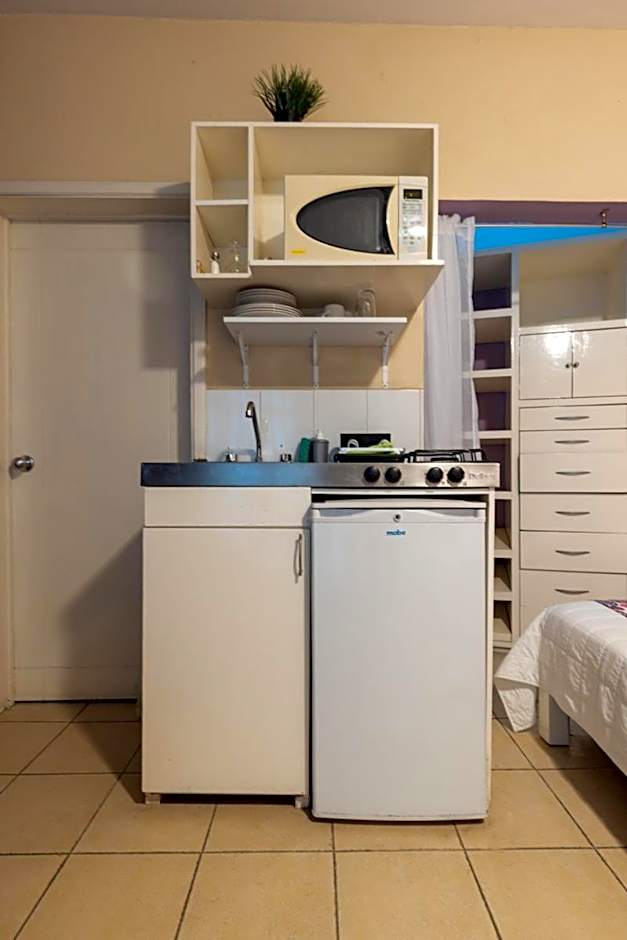 Satya Suites & Portal San Angel Flats