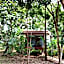 Khao Sok River & Jungle Bungalow
