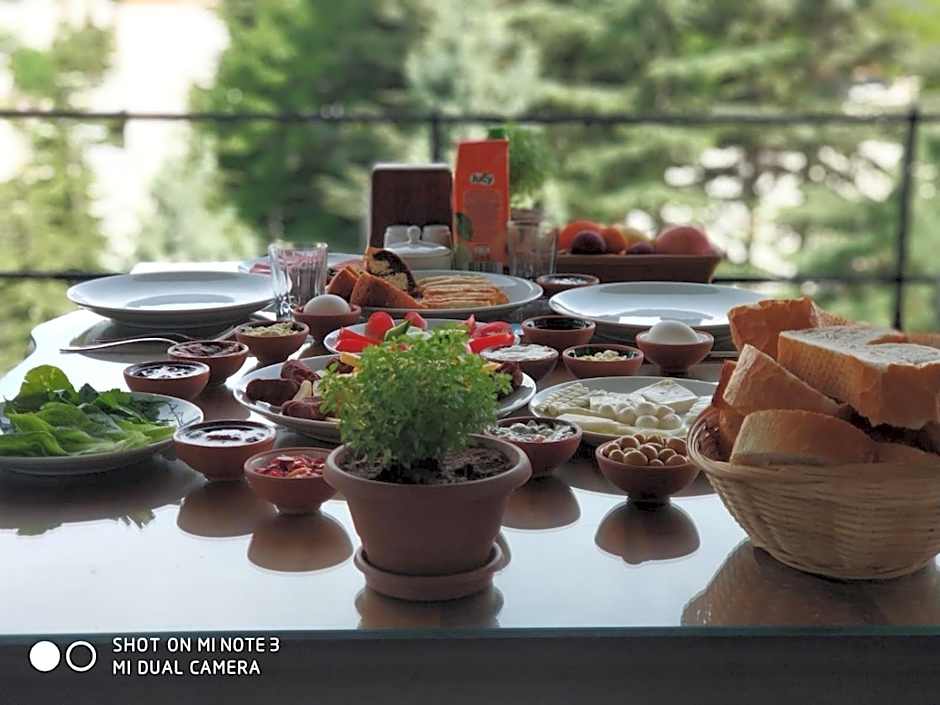 Feel Cappadocia Stone House